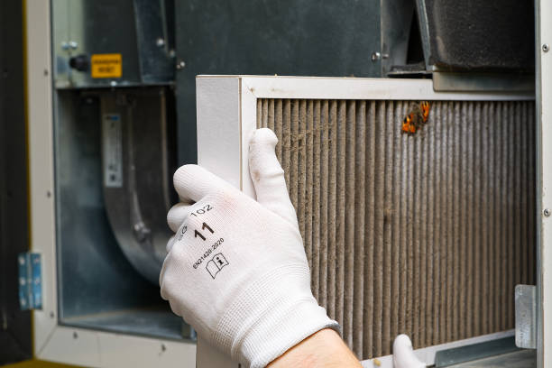 Best Home Air Vent Cleaning  in Woodland, CA